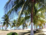 Macedo