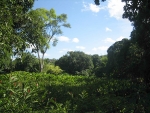 immo_ldora06