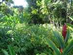 immo_ldora08