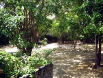 immo_gonzaga09