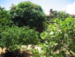 immo_batista03