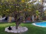 immo_gerull05