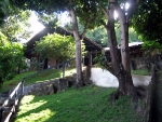 immo_henrique01
