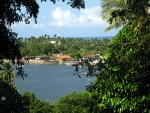 immo_henrique06