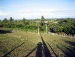 immo_luiz06