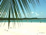 paulista_recife_29