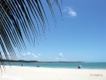paulista_recife_31