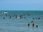 paulista_recife_73